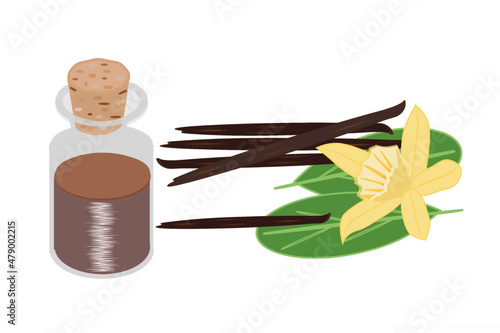 Vanilla, condiment sticks, tincture in a jar, leaves and flower of the plant, color illustration on a white background