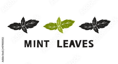 Mint leaves, silhouette icons set with lettering. Imitation of stamp, print with scuffs. Simple black shape and color vector illustration. Hand drawn isolated elements on white background