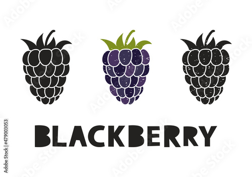 Blackberry, silhouette icons set with lettering. Imitation of stamp, print with scuffs. Simple black shape and color vector illustration. Hand drawn isolated elements on white background