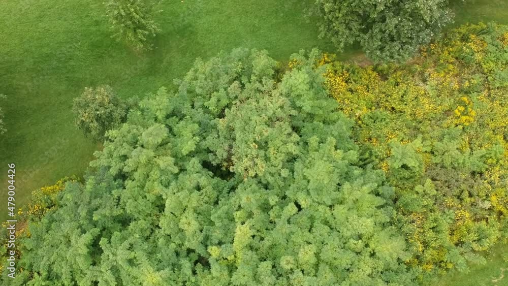 Urban Park Flyby Mixed Trees and Grass Urban Park Flyby Mixed Trees and Grass