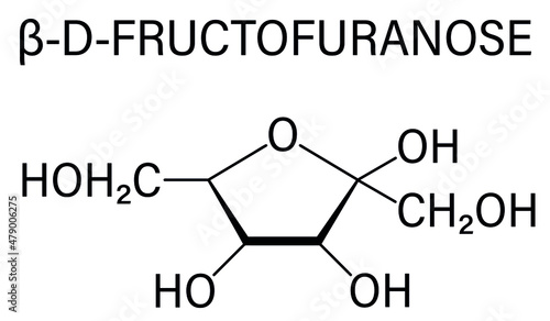 Fructose or D-fructose fruit sugar molecule. Component of high-fructose corn syrup - HFCS. Skeletal formula.