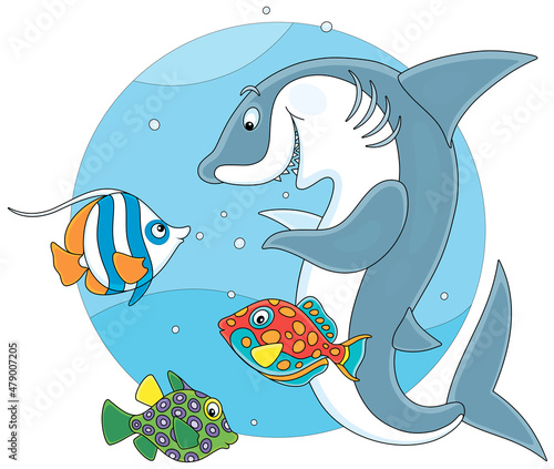 Funny and playful shark pla...
