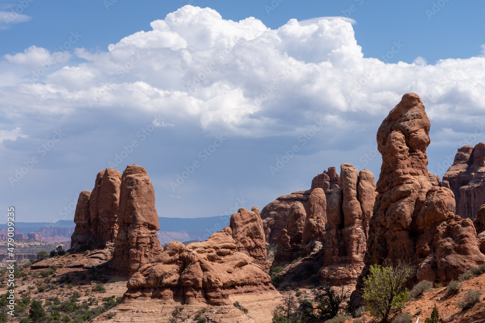 Arches National Park