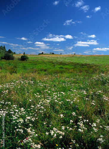 Masurian landscape near Snirdwy Lake, Poland