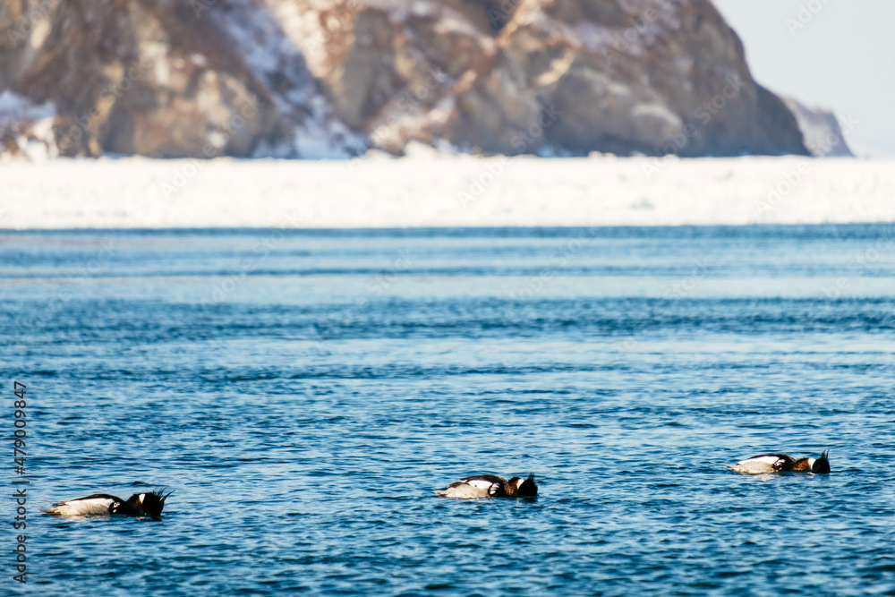 Fototapeta premium city at sea in winter