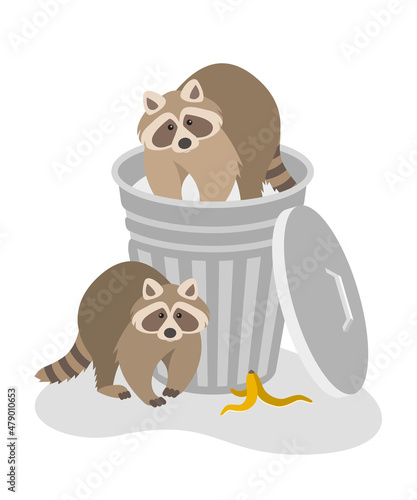 Raccoons steal household rubbish in a street trash can. Wildlife control and pest control services, raccoons removal. Flat cartoon illustration isolated on white. Wild animals create a mess of garbage
