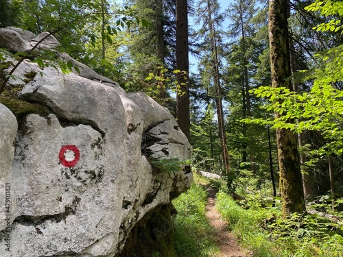 Marked tourist-hiking trail in Golubinjak forest park or Cave trail in Gorski kotar - Sleme, Croatia (Markirana turističko-planinarska staza u park šumi Golubinjak ili Staza spilja u Gorskom kotaru) photo