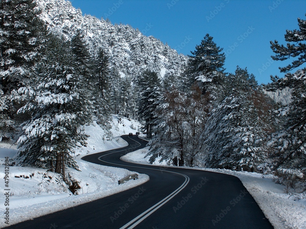 travel in winter snow ice asphalt firs in sunny cold day travel in winter snow ice asphalt firs in sunny cold day