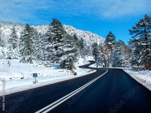 travel in winter snow ice asphalt firs in sunny cold day