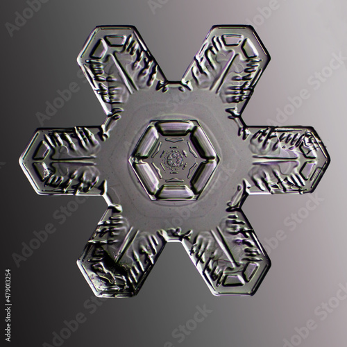 Real snowflake