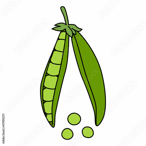 Cartoon vector illustration of pod peas isolated on white background. Ripe vegetable for cooking, source of vitamins