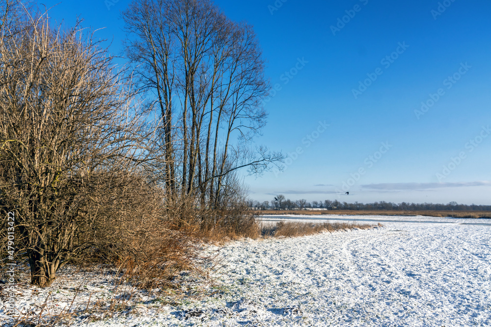 Zima w Narwiańskim Parku
Narodowym, Podlasie, Polska Zima w Narwiańskim Parku
Narodowym, Podlasie, Polska