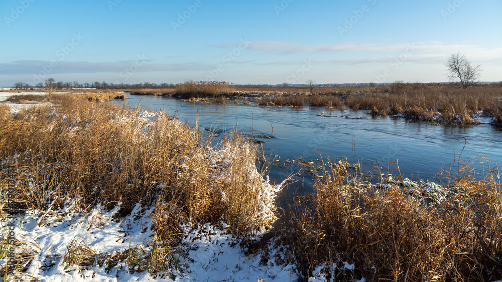 Zima w Narwiańskim Parku
Narodowym, Podlasie, Polska