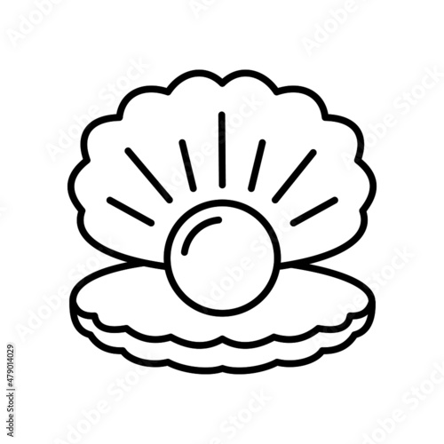 illustration of seashell