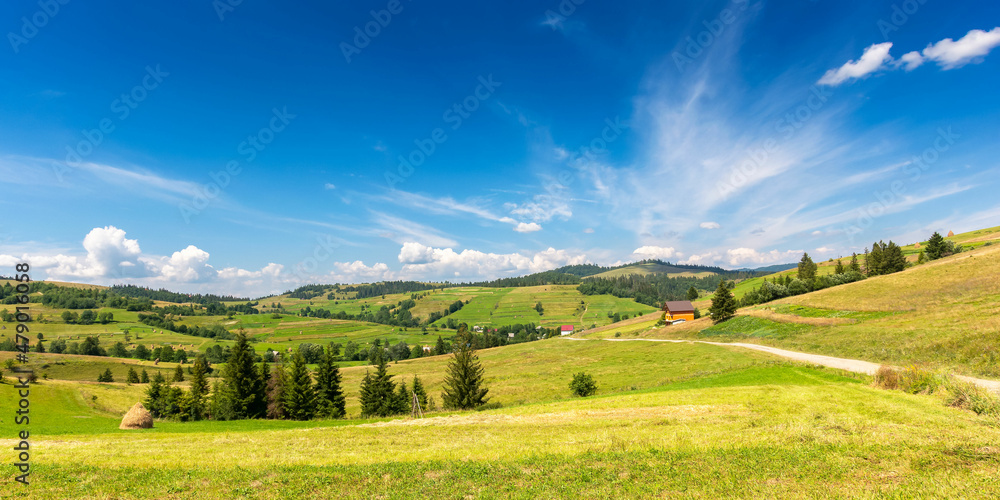rural landscape in mountains on a summer morning. wonderful nature scenery with forested rolling hills and green grassy meadows on a sunny day.