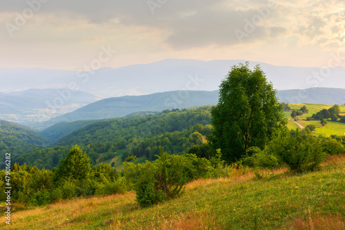 mountainous rural landscape at sunset. wonderful nature scenery with forested rolling hills and green grassy meadows in warm evening light. village in the distant valley. fluffy clouds on the sky