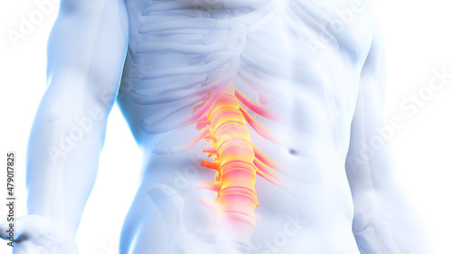 3d rendered illustration of a painful spine