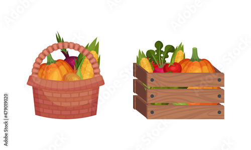 Basket and Wooden Crate Full of Fresh Vegetable from Greengrocery Vector Set