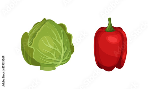 Ripe Bell Pepper and Cabbage Vegetable as Healthy Raw Food and Garden Cultivar Closeup Vector Set