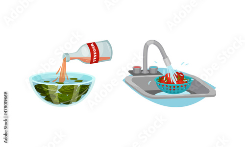 Washing Tomato with Tap Water and Pouring Vinegar in Bowl with Greenery as Vegetable Cooking Process Vector Set.