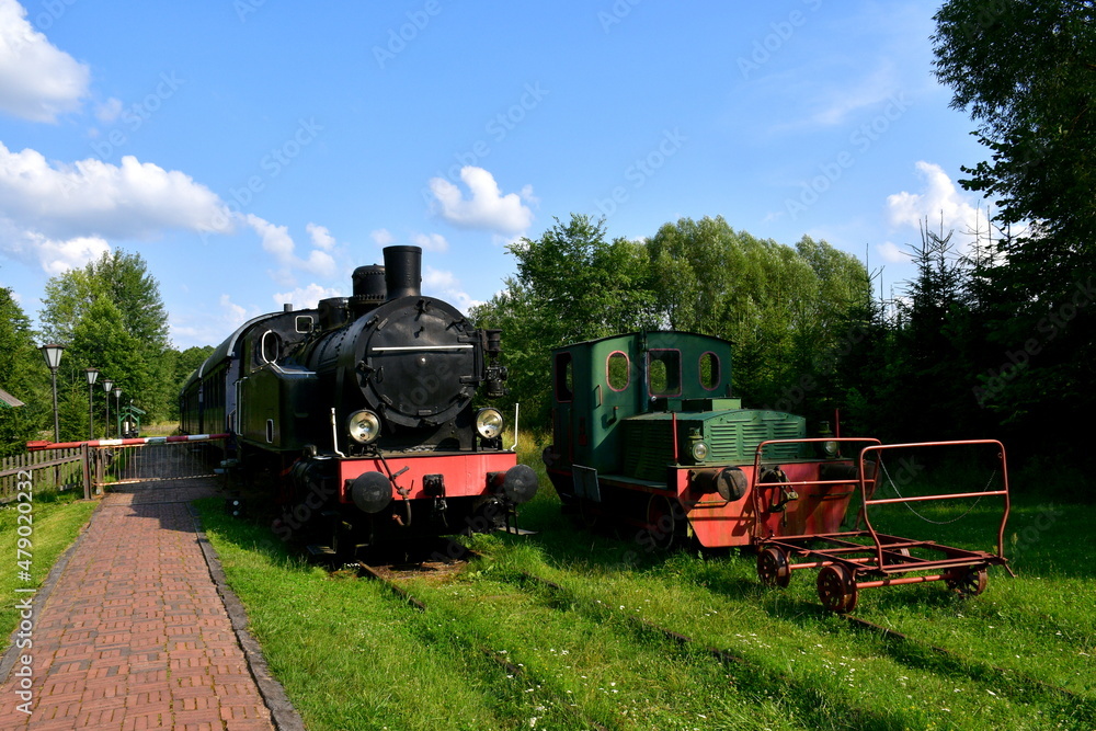 Obraz premium A view of a well maintained public park full of shrubs, trees, and grass, with a train station located nearby and an old traditional steam locomotive waiting for departure seen on a sunny summer day