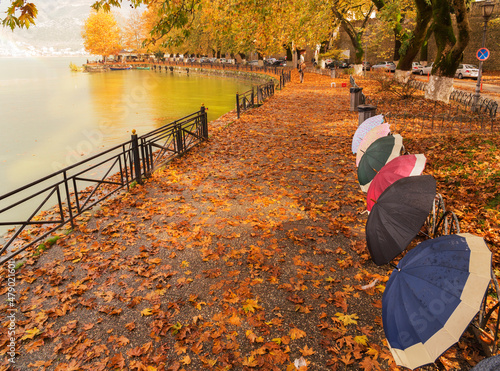 autumn in ioannina greece falling leaves photo