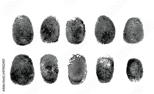 10 vector fingerprint set of each finger isolated on white background.