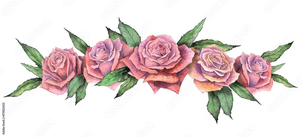 Rosebusch. Pattern from a pink rose. Wedding drawings. Roses garland. Watercolor painting. Greeting Cards. Pink background, watercolor composition. Floral background. Wedding invitation decor