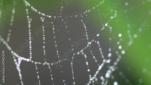 Close up of cobweb with dew drops.