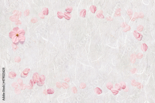 漉き込んだ桜と舞い散る桜、花びらフレームの白い和紙 © AGRX
