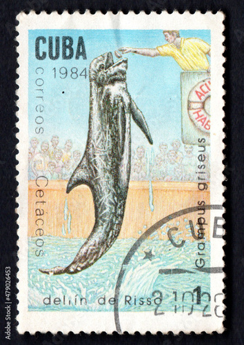 stamp printed in Cuba from Whales and Dolphins issue shows Spotted dolphin photo