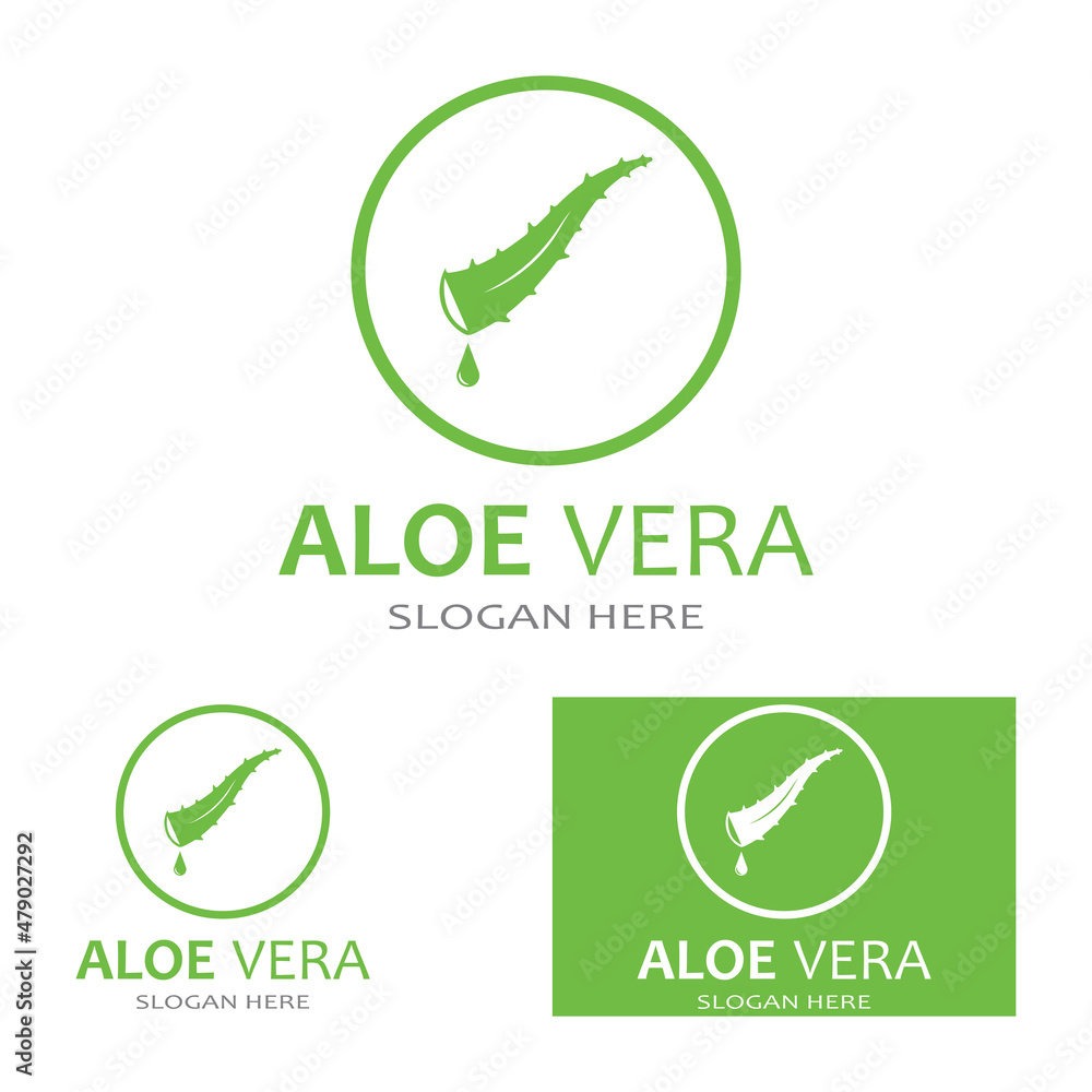 Aloe vera icon logo vector illustration template design
