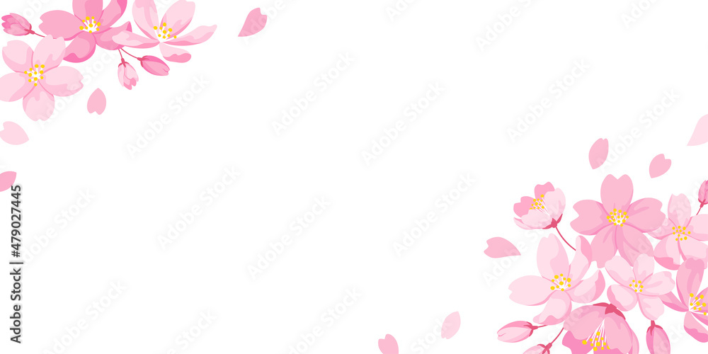 桜の花の背景イラスト　白背景にコピースペース