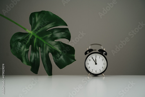 Black clock and green leaf