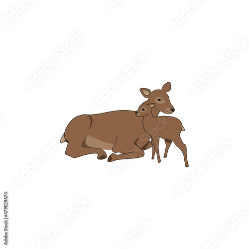 Siberian deer cares for a small fawn