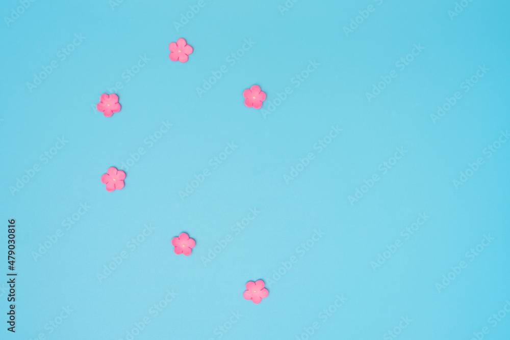 Small pink flowers on blue background. Greeting card. Love, Valentines Day or other holiday concept. Flat lay style with copy space