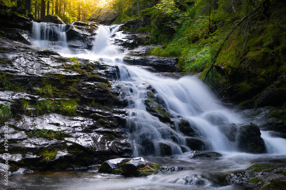 Fototapeta premium waterfall in the forest