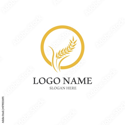 Wheat logo vector icon illustration