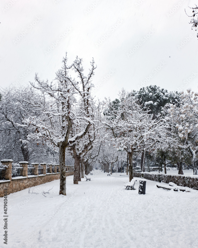 Naklejka premium Snow storm that leaves landscapes of snow, snow covered trees