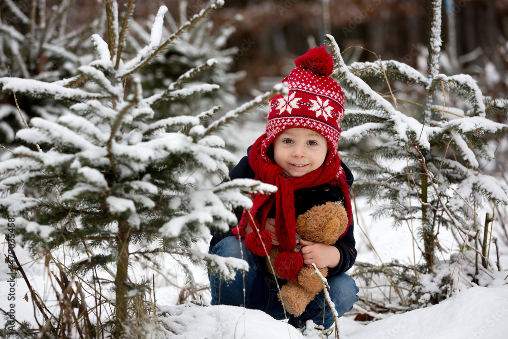 Cute toddler child in the park, standing between christmas trees Cute toddler child in the park, standing between christmas trees