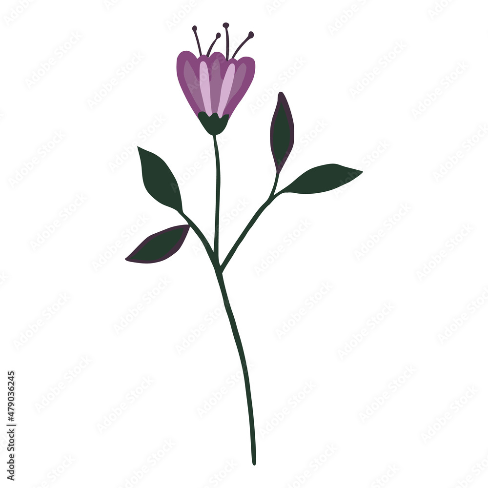 Doodle flower isolated. Hand drawn botanical print Doodle flower isolated. Hand drawn botanical print