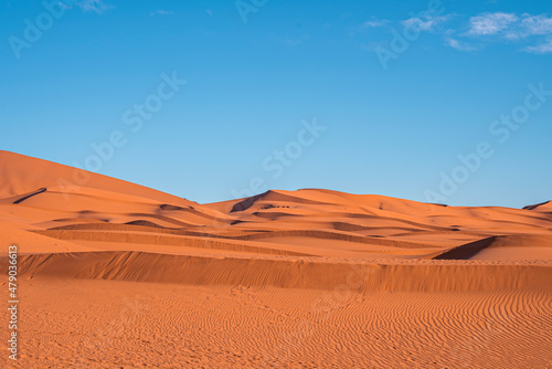 Beautiful view of sand dunes in sahara desert on sunny summer day, Sand dunes with waves pattern in desert