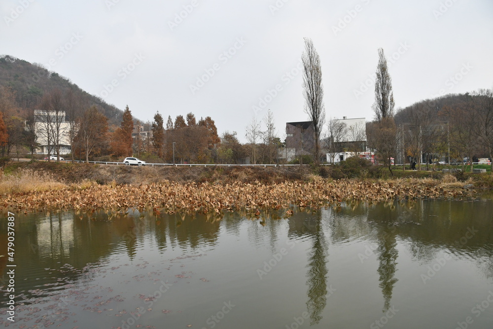 헤이리 마을 연못