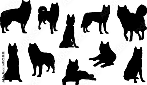 Siberian Husky Dog Silhouette Bundle SVG