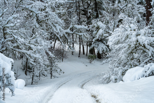 Snow Covered Road © davidhoffmann.com