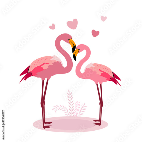 pink flamingo on a white background with love © bisakhadatta