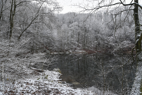 Winter lake landscape. Szmaragdowe lake in Szczecin, Poland in winter. © Kozioł Kamila