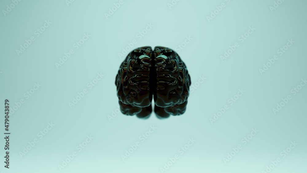 Shiny Black Brain Anatomy Cerebral Power Red Blue Oil Reflection Front 3d illustration render Shiny Black Brain Anatomy Cerebral Power Red Blue Oil Reflection Front 3d illustration render