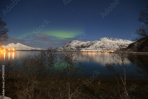 Fjord norvégien avec des aurores boréales dans le ciel 