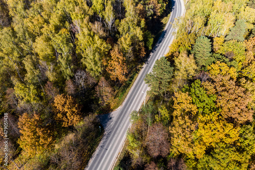 Aerial view of the road going through the autumn forest